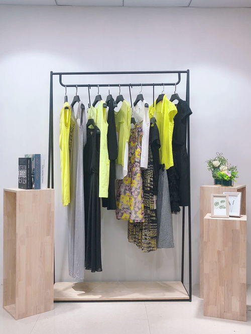 廣州品牌折扣女裝同款批發(fā) 精品連衣裙尾貨批發(fā)與鞋帽批發(fā)的商機